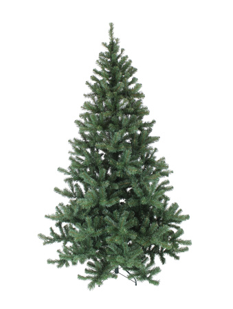 5224