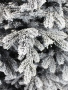 1035015_8