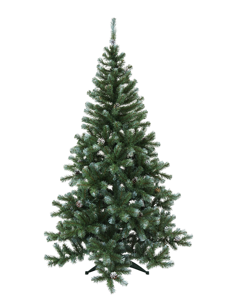 5621