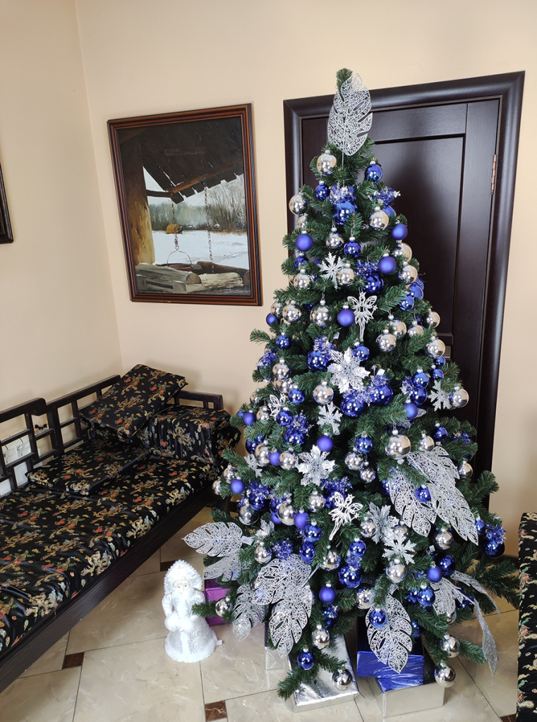 Сибирская 210 (12).jpg