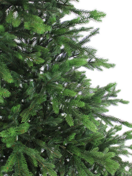 Изумрудная new побег_мал (3)