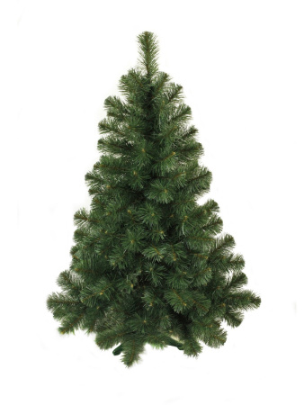 1212