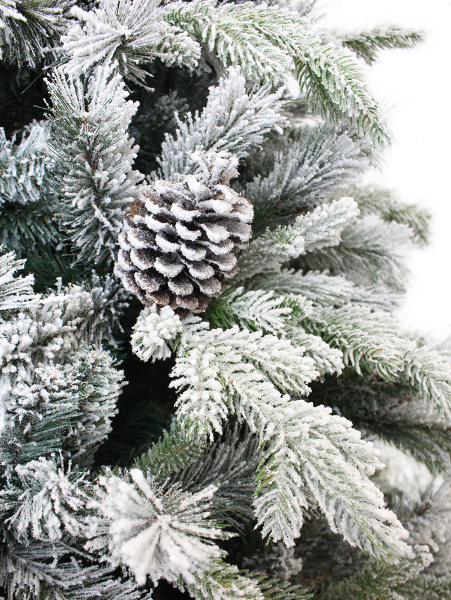 1041227-LGB04GP-BH90-MD_2