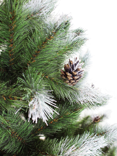 Кронштадтская побег 3_мал