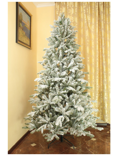 Флора заснеженная 2,1 (1)