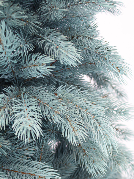 Монблан побег_мал