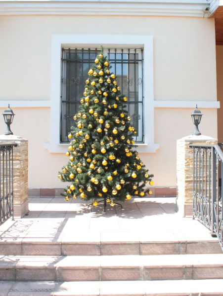 Канадская 240 (3)