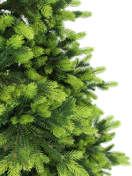 Андромеда побег 1_мал