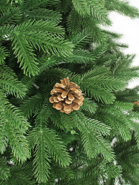 Монтана побег мал