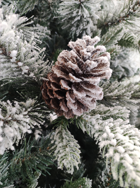 1041218-LGB04GP-BH60-MD_2