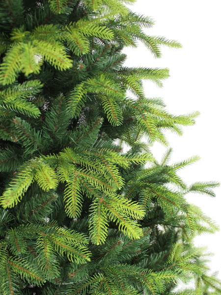 Cosmoc Орион новый цвет побег 1_мал