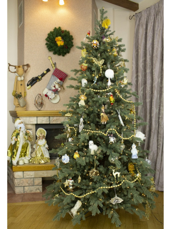 Magnolia