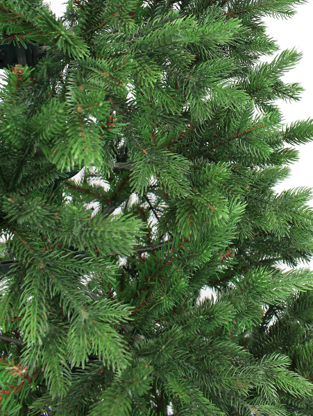 Амалия побег_мал (2)