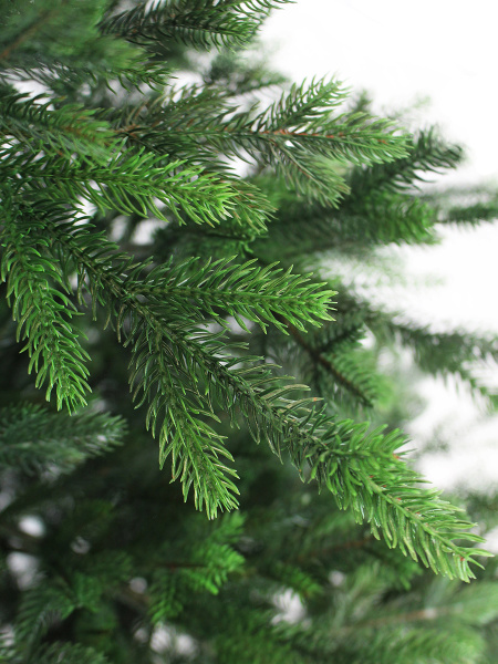 Изумрудная new побег_мал (4)