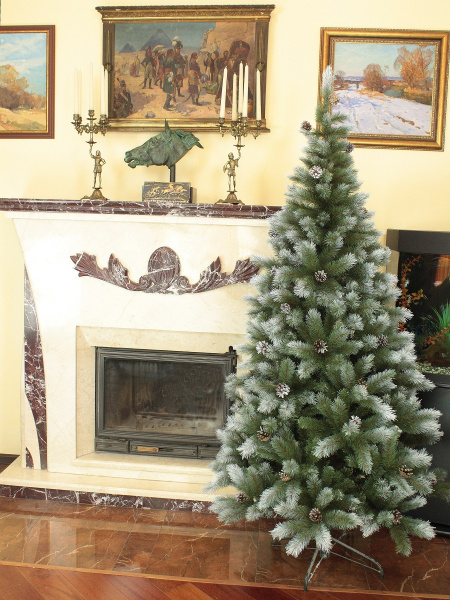 Леруа Кронштадтская (1)