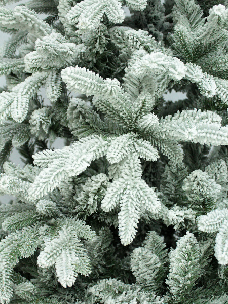 побег еще (2)