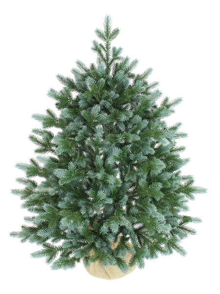 Сириус 75 см (4)_мал