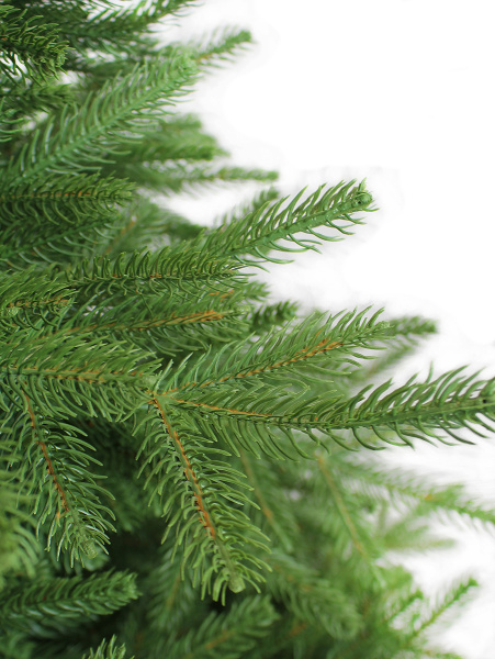 California побег 4_мал