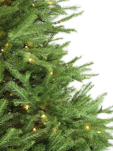 California (10)_мал