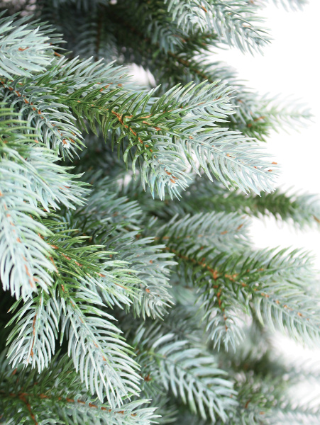 Монреаль побег_3_мал