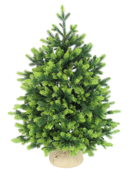 Андромеда 75 см_2_мал