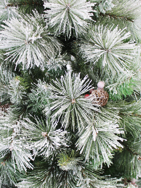 Полярная побег 2_мал