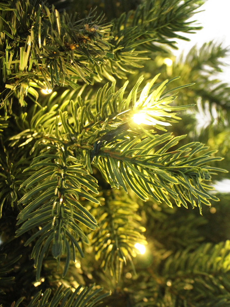 Victoria с лампами побег_мал