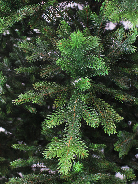 Изумрудная new побег_мал (1)