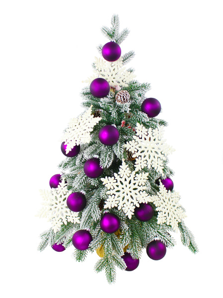 СПГ150004_6_мал