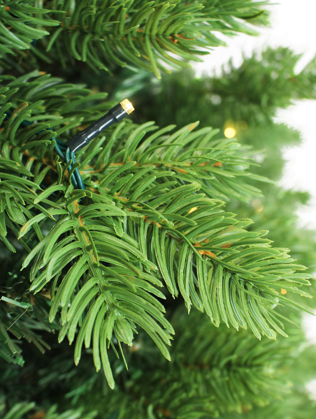 Victoria с лампами побег_3_мал