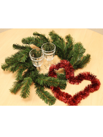 Ветка Л4-30, Л6-16 (12)_мал