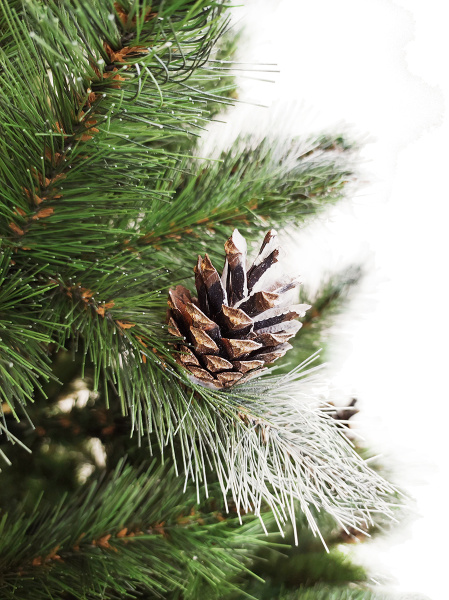 Кронштадтская побег_мал