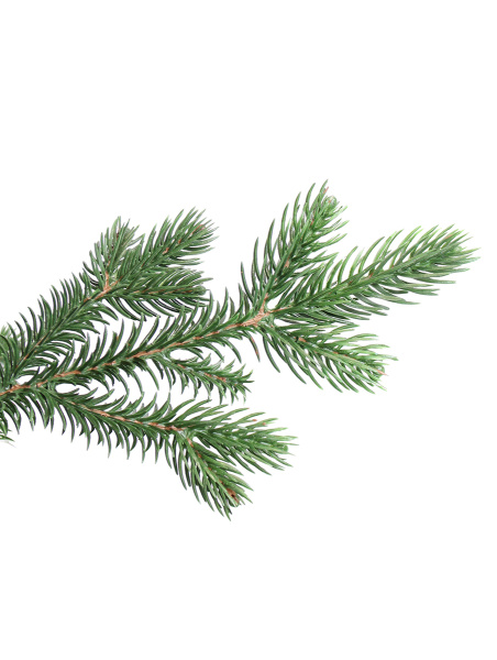 Амалия побег_2_мал (2)