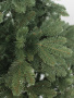 Meridian 1,9 побег (9)
