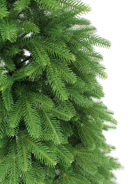 Эстелла побег_2_мал