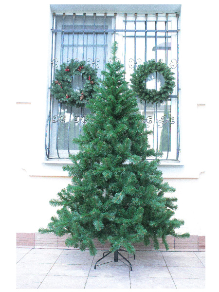 Скандинавская 2,1 (3)