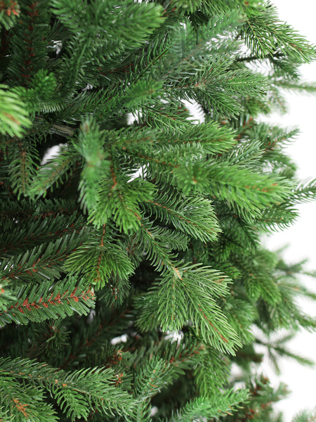 Амалия побег_мал