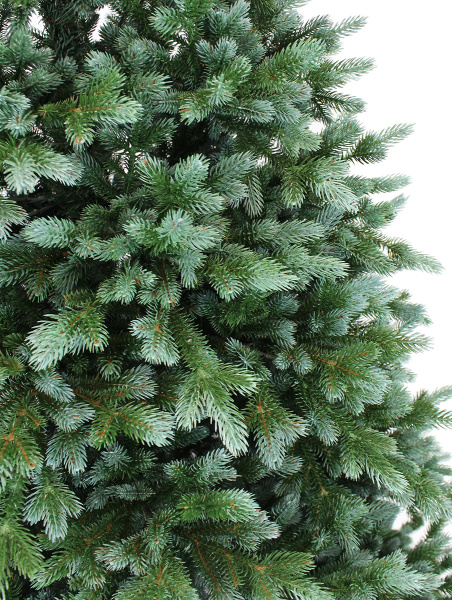 Сириус побег_мал (1)