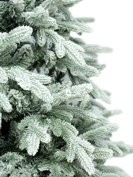 побег еще (1)