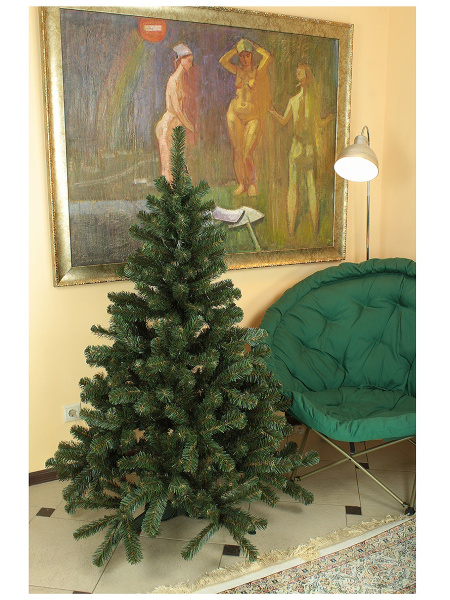 Звездная 1,5 (1)