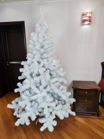 Радужная 2,1 (1)