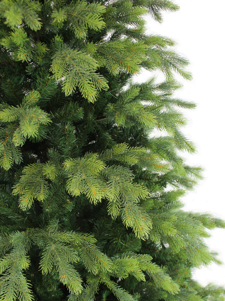 Emerald new побег 2_мал