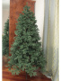 Meridian 1,9 побег (9)