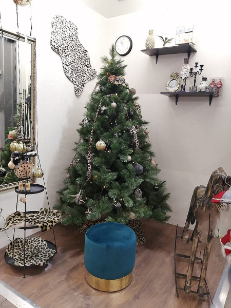 Лапландия_2